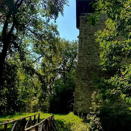 Appartement Ringingen